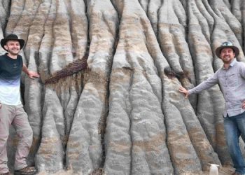 В Канаде нашли полный скелет динозавра