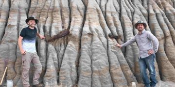 В Канаде нашли полный скелет динозавра