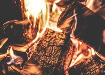 Украинцам пообещали бесплатные дрова для отопления