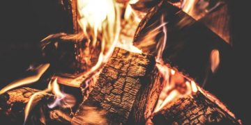 Украинцам пообещали бесплатные дрова для отопления