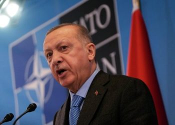 Греция призывает ЕС и НАТО разобраться с Эрдоганом