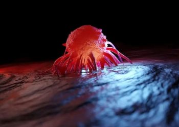 Прорыв в лечении онкологии! Во что модифицировали раковые клетки