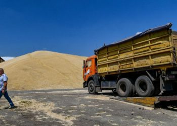 Хватит ли украинцам пшеницы в 2023 году