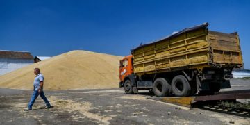 В Украине собрали 26 миллионов тонн нового урожая