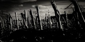 Борьба за спасение экологии обернется ресурсным кризисом