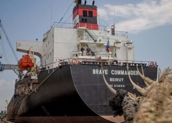 Из украинских портов вышли 50 кораблей с зерном