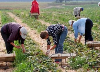 Как украинцы наполнили рынок труда в Польше