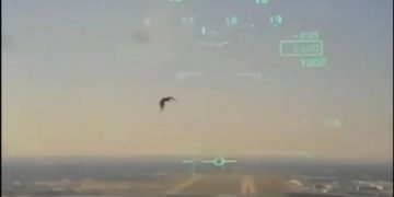 Самолет ВМС США столкнулся с птицей и упал на дом