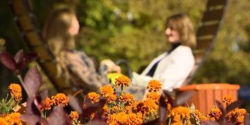 В Украину возвращается бабье лето