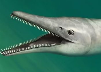 Причудливый хищник жил на Земле 70 млн лет назад