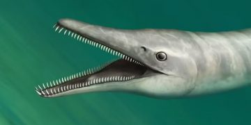 Причудливый хищник жил на Земле 70 млн лет назад