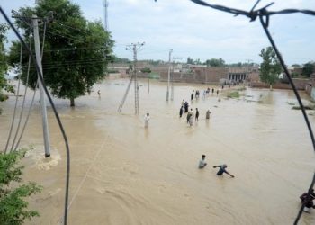 В Пакистане змеи искусали больше 100 человек