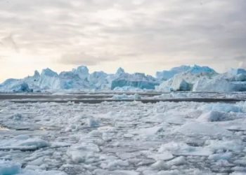 Земля находится на грани нескольких климатических катастроф