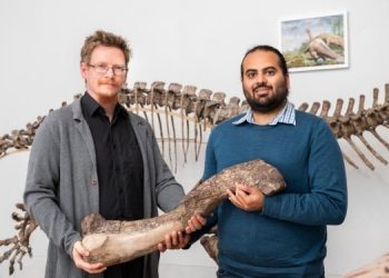 Ученые открыли новый вид динозавров