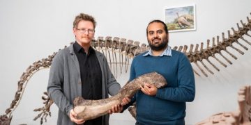 Ученые открыли новый вид динозавров