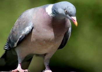 Лунный календарь на 11 октября 2022 года