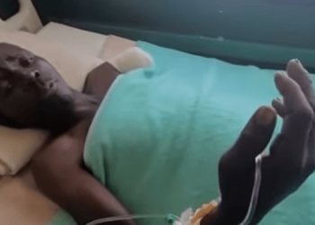 Мужчина стал жертвой крокодила, спасаясь от слона