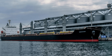 Россия заблокировала 218 судов с зерном