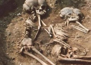 Ученые нашли останки людей, которые были первыми англичанами