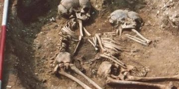 Ученые нашли останки людей, которые были первыми англичанами