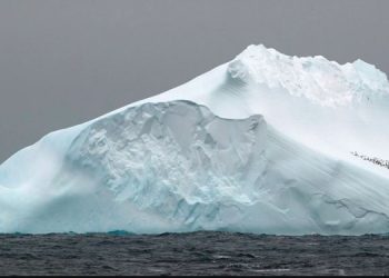 В Антарктиде обнаружили ДНК возрастом около миллиона лет