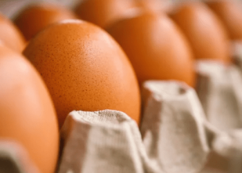 Когда стоит ожидать снижения цен на яйца