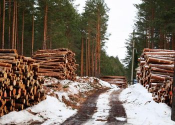 Европе предрекли экологическую катастрофу