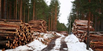 Европе предрекли экологическую катастрофу