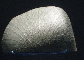 Марсианский метеорит с органикой Земли