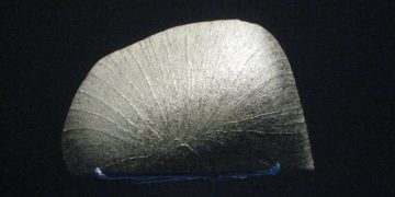 Марсианский метеорит с органикой Земли