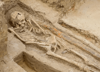 Нашли могилу жрицы Афродиты Урании