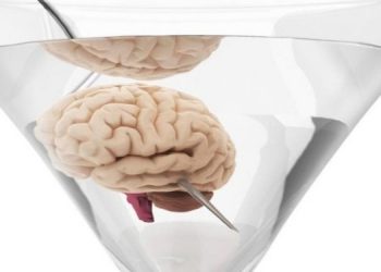 Пересадка головного мозга человека