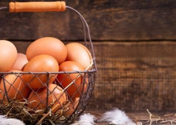 Почему дорожают яйца и что будет с ценами