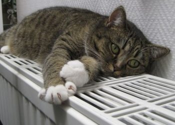 Кабмин зимой снизит температуру в квартирах украинцев