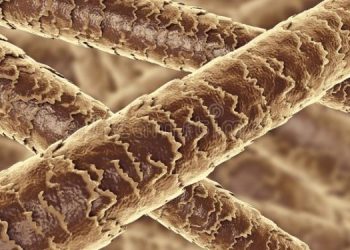 Ученые научились выращивать волосы в лаборатории