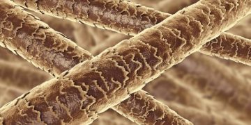 Ученые научились выращивать волосы в лаборатории