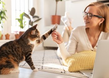 Зачем нужно разговаривать с кошкой