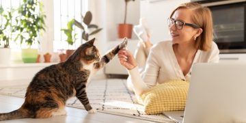 Зачем нужно разговаривать с кошкой