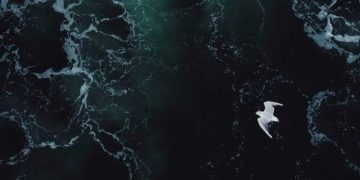 Древние морские организмы влияют на силу землетрясений