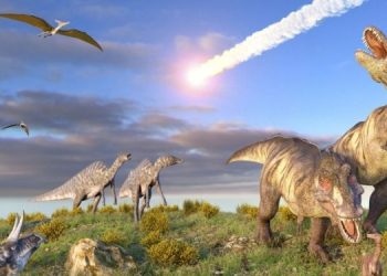 Библейский потоп был, но 66 млн лет назад