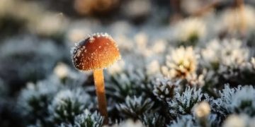 День святого Ерофея – что нельзя сегодня делать