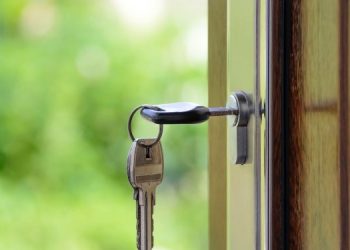 В Москве, Санкт-Петербурге и Краснодаре