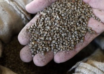 Как ежемесячно меняются цены на гречку