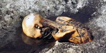 “Снежный человек” возрастом 5300 лет