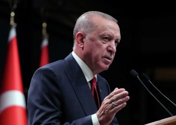 Эрдоган заявил, что РФ непричастна к инциденту в Польше