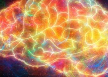 Две эффективные методики помогут запомнить информацию