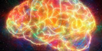 Две эффективные методики помогут запомнить информацию