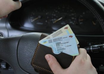 В Украине Е-удостоверение заменит пластиковые права