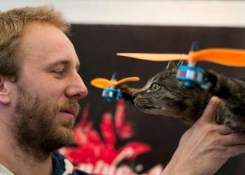 В Нидерландах создают дроны из животных