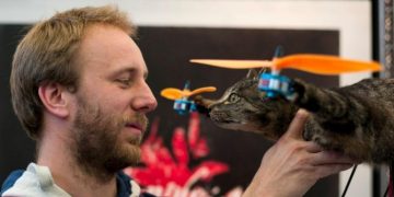 В Нидерландах создают дроны из животных